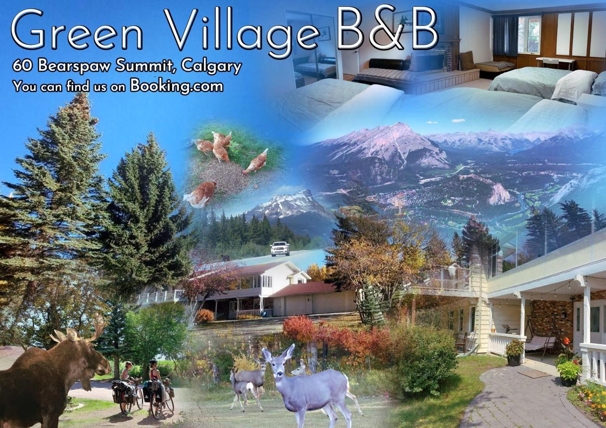 Green Village B&B Calgary Exterior photo